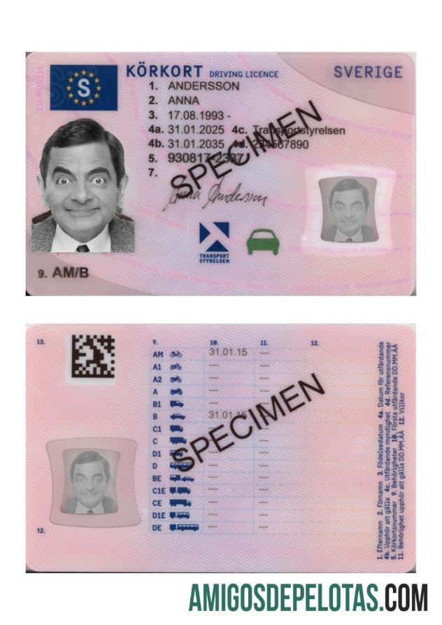 Carta de condução da Suécia 2025 presente modelo